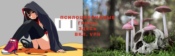 Альфа ПВП Алексин