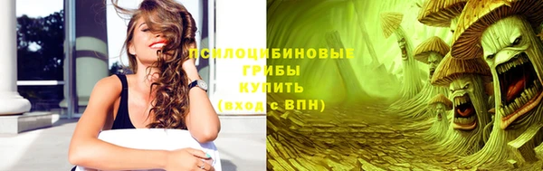 Альфа ПВП Алексин