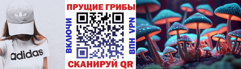 Псилоцибиновые грибы мухоморы  Череповец 