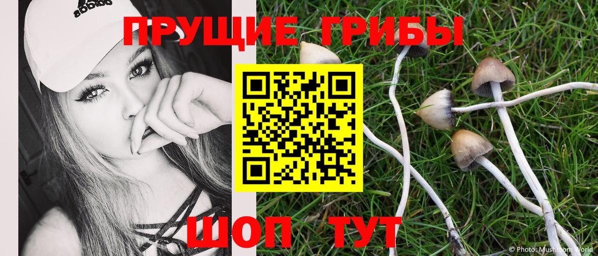 Галлюциногенные грибы MAGIC MUSHROOMS  Галлюциногенные грибы MAGIC MUSHROOMS  Череповец  Вход с VPN 