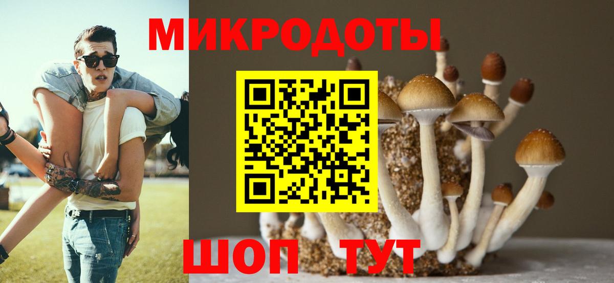 Галлюциногенные грибы ЛСД Череповец