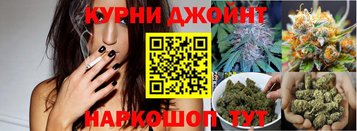 Череповец  Конопля гибрид  Конопля семена  Канабис Amnesia  Вход с VPN 
